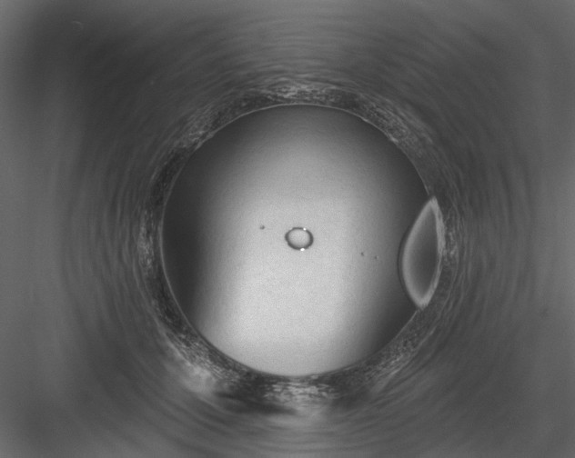 X0000084050607200702232353