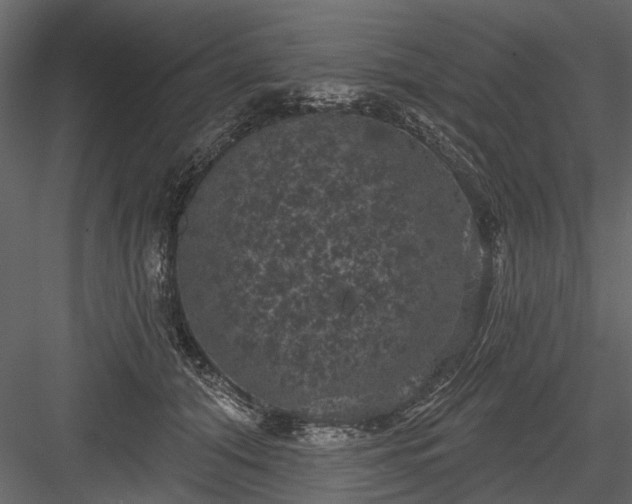 X0000084050608200702232353