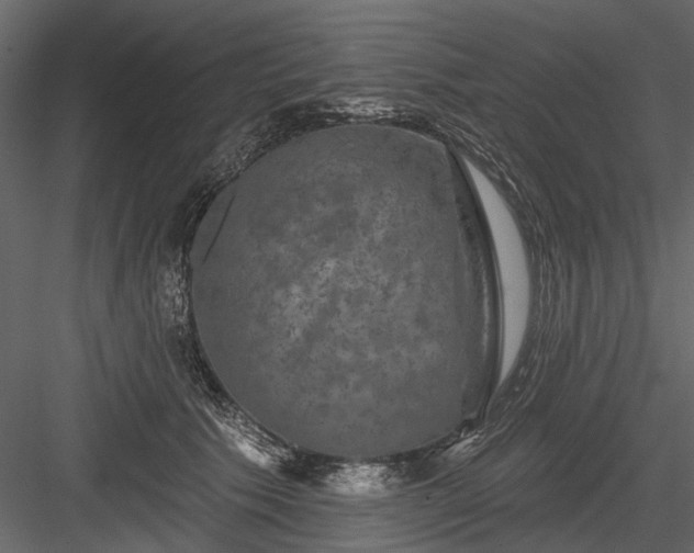 X0000084050609200702232353