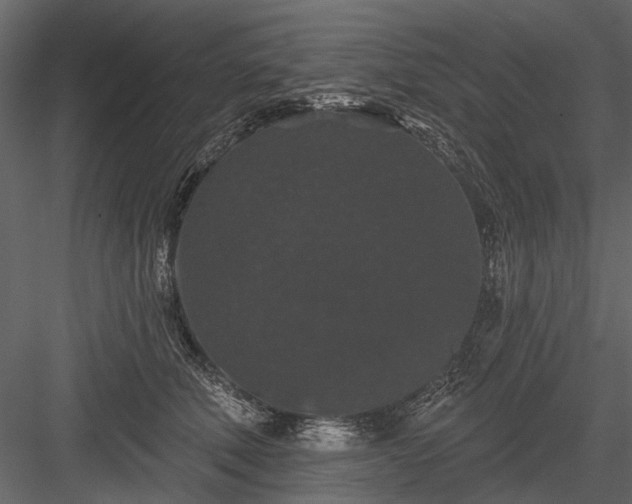 X0000084050610200702232353