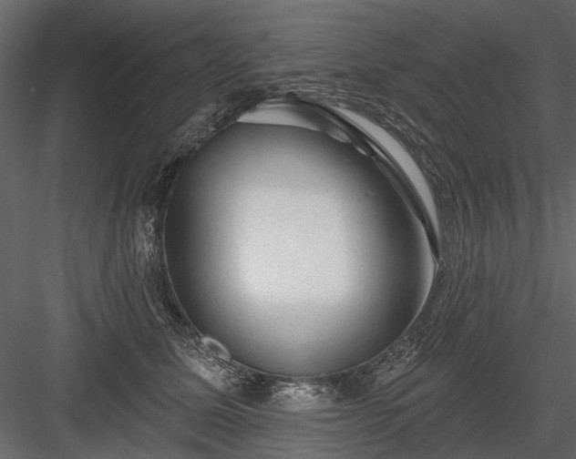 X0000084050611200702232353