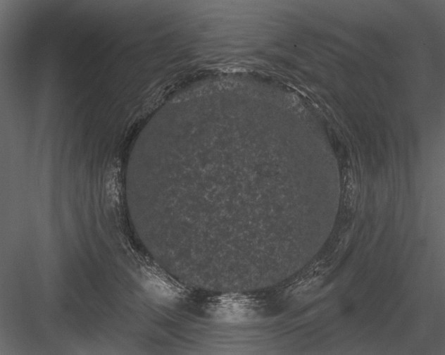 X0000084050612200702232353