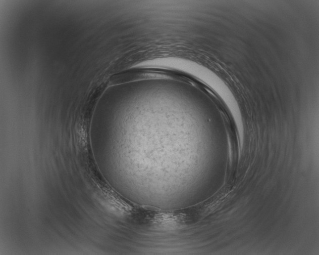 X0000084050613200702232353