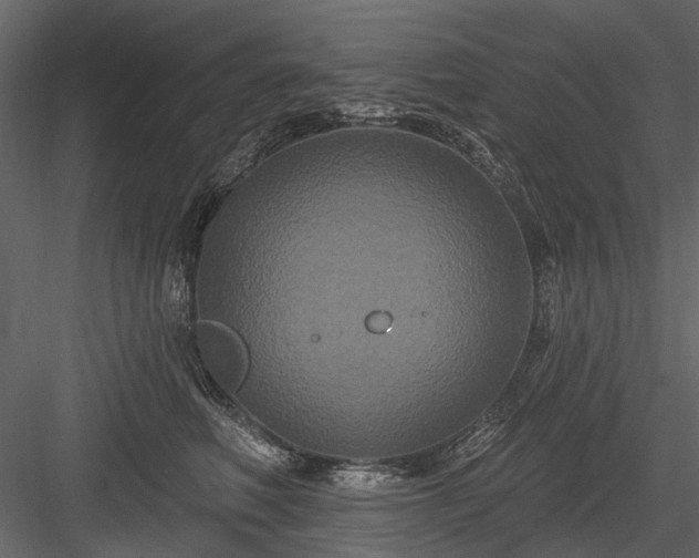 X0000084050614200702232353