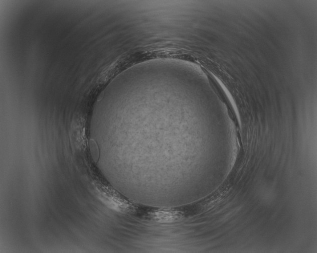 X0000084050615200702232353