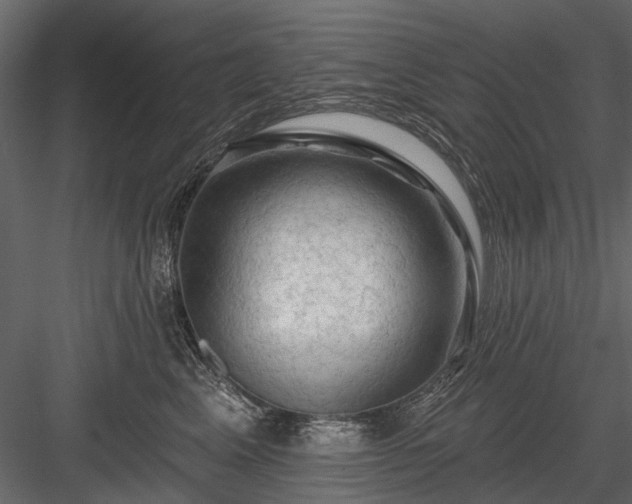 X0000084050617200702232353