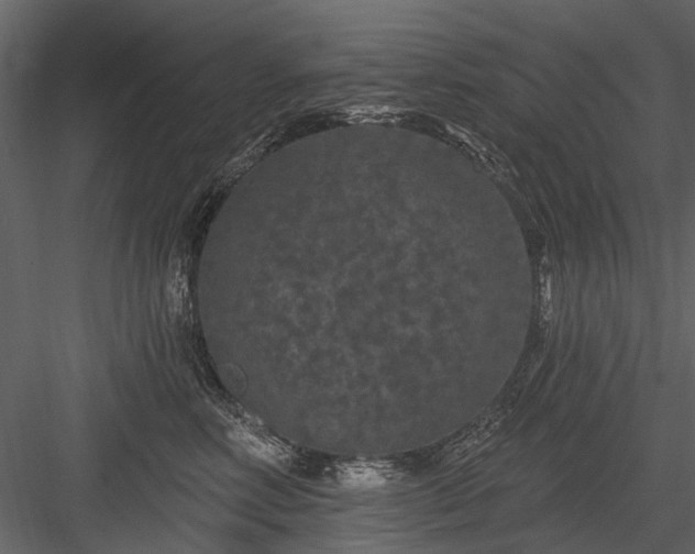 X0000084050618200702232353