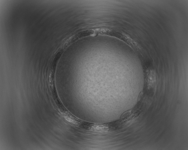 X0000084050619200702232353