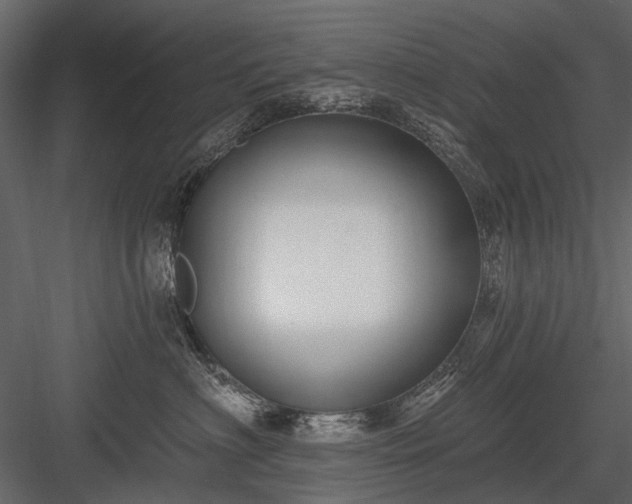 X0000084050622200702232353