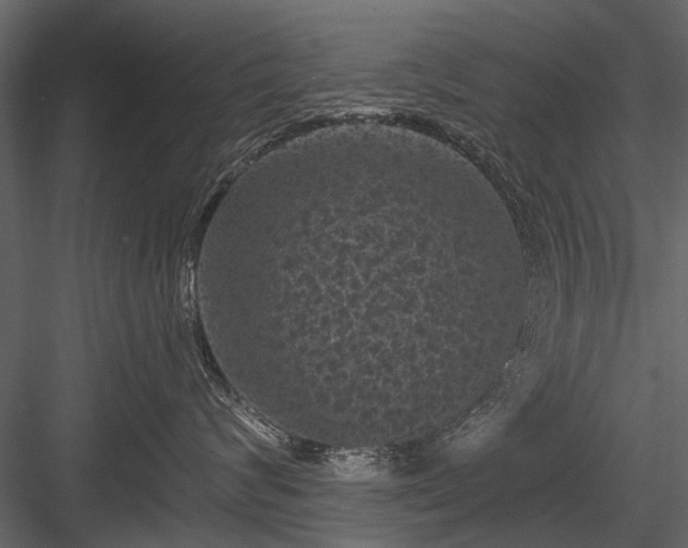 X0000084050624200702232353