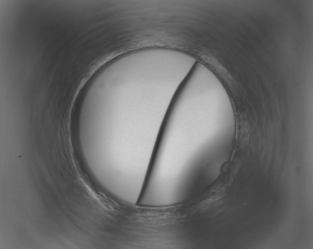 X0000084050626200702232352