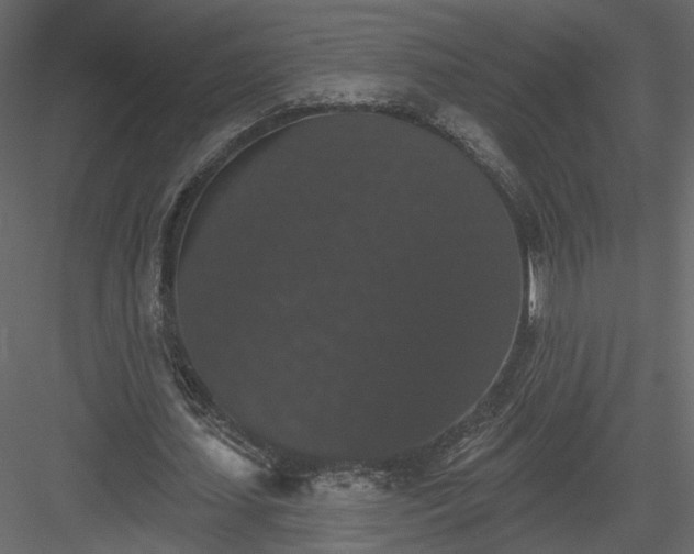 X0000084050627200702232352