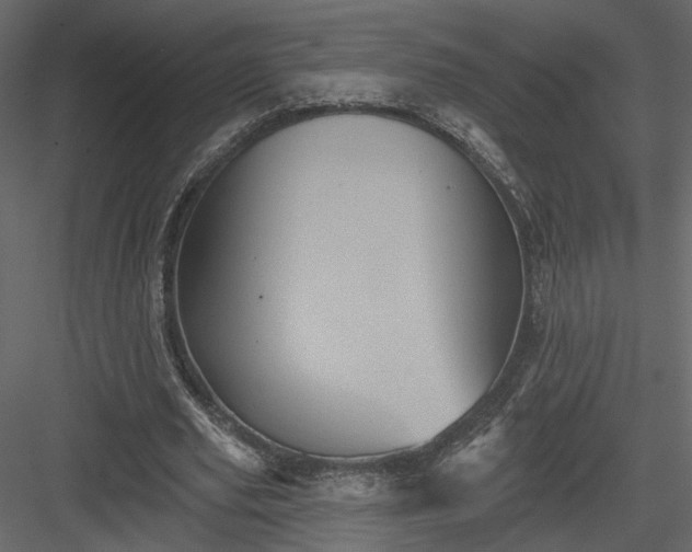 X0000084050629200702232352