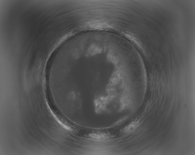 X0000084050630200702232352