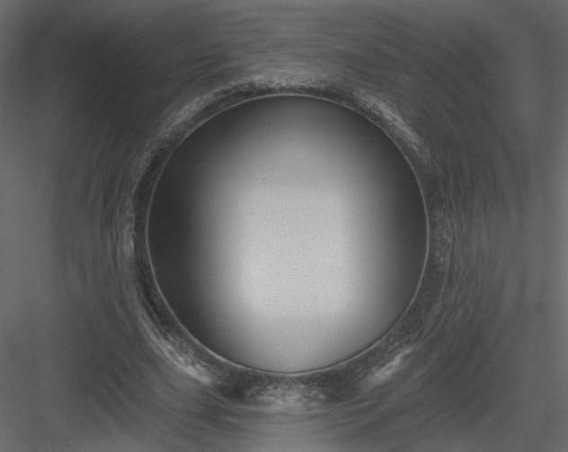 X0000084050631200702232352