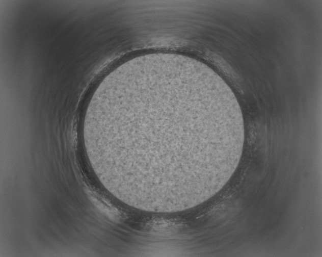 X0000084050632200702232352