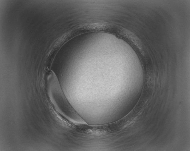 X0000084050633200702232352