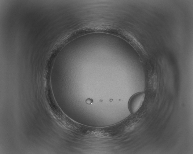 X0000084050635200702232352