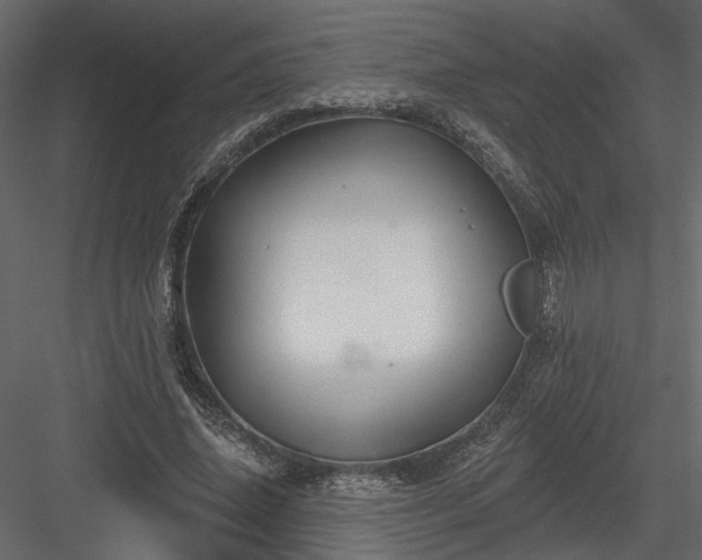 X0000084050636200702232352