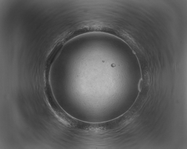 X0000084050638200702232352