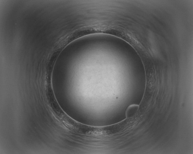 X0000084050639200702232352