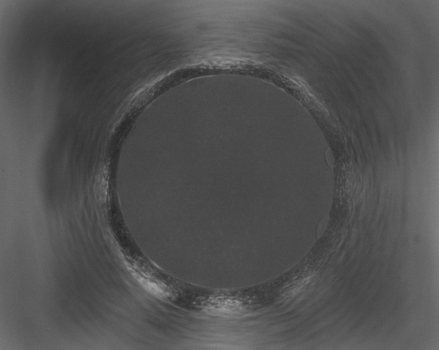 X0000084050640200702232352