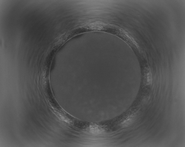 X0000084050641200702232352