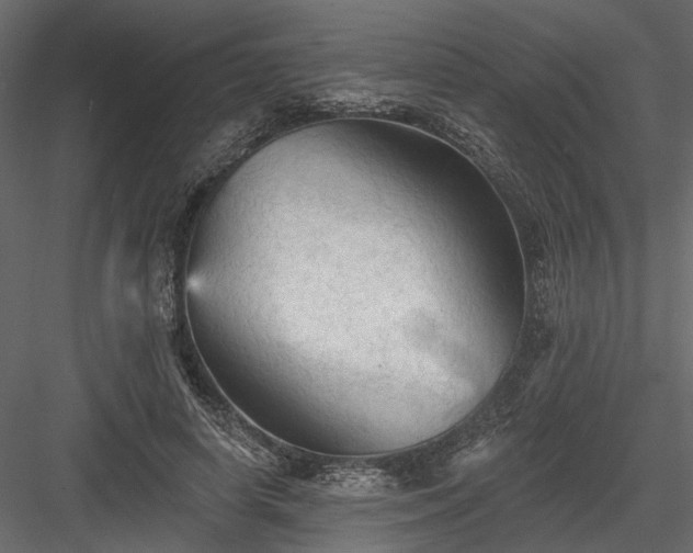 X0000084050642200702232352