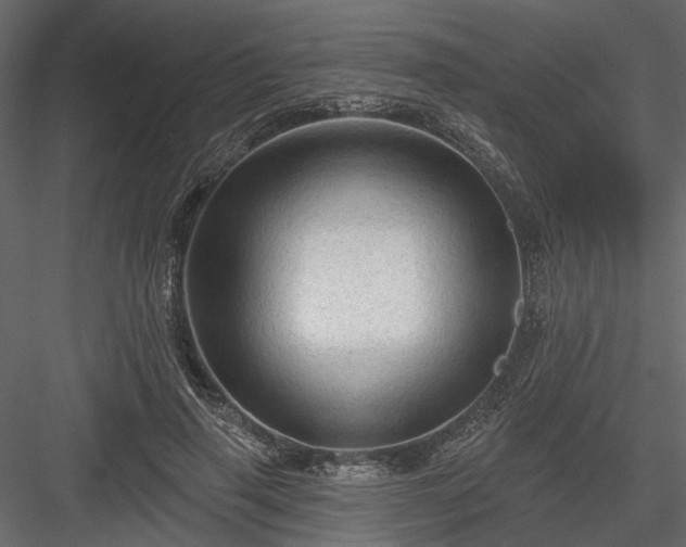 X0000084050645200702232352