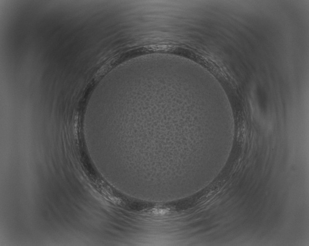 X0000084050647200702232352