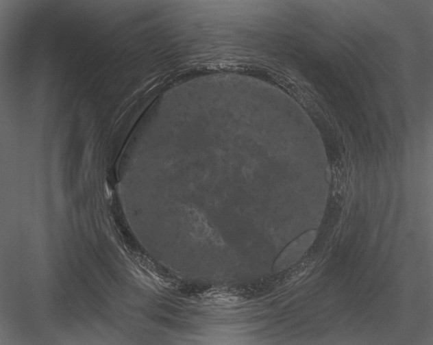 X0000084050648200702232352