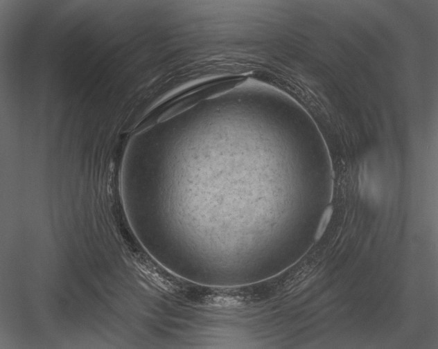 X0000084050649200702232352