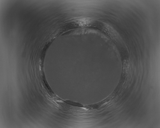 X0000084050650200702232352