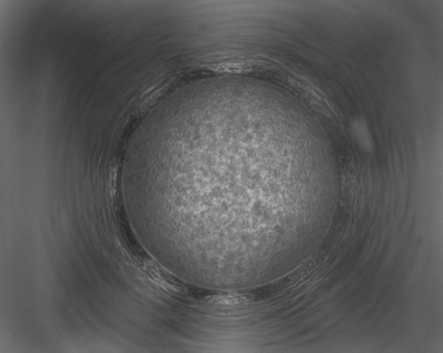 X0000084050652200702232352