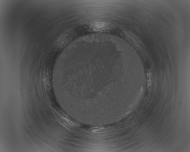 X0000084050653200702232352