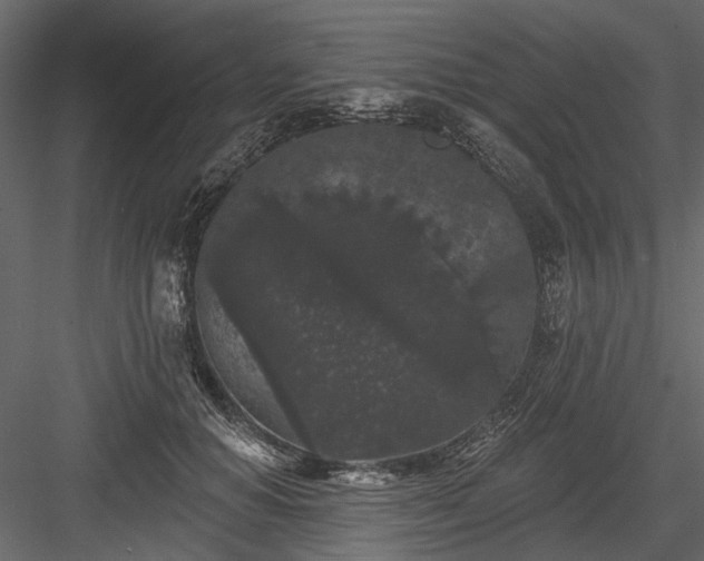 X0000084050654200702232352