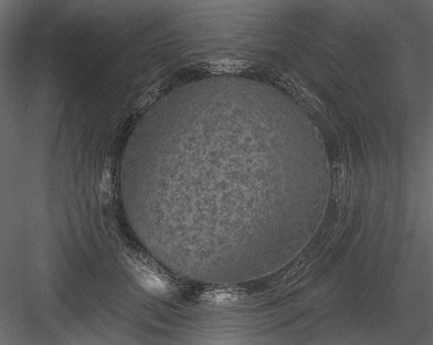 X0000084050655200702232353