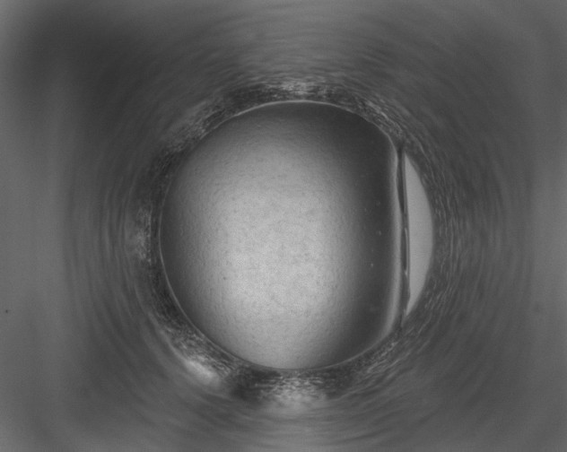 X0000084050656200702232353