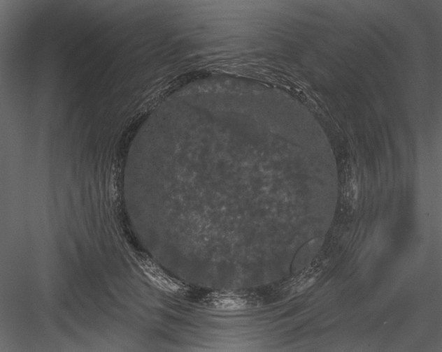 X0000084050658200702232353