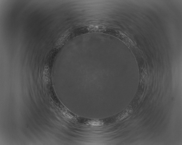 X0000084050659200702232353