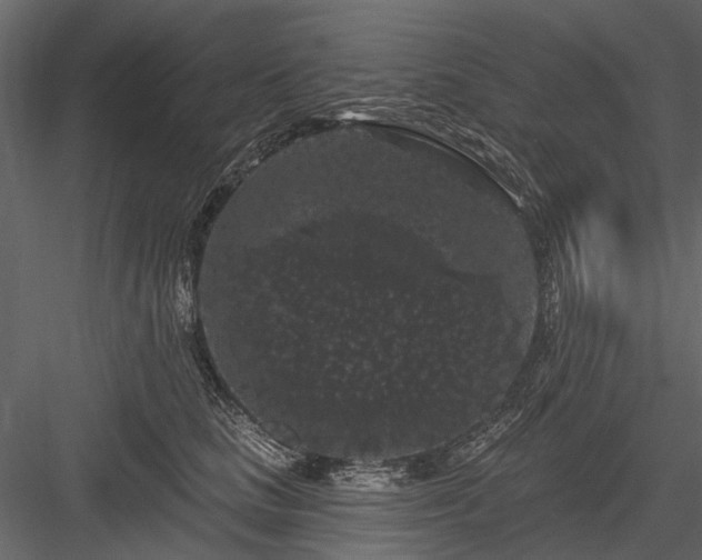 X0000084050661200702232353