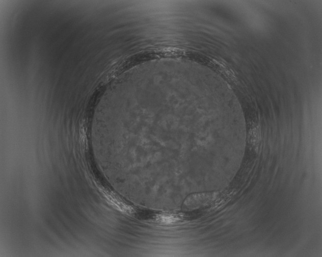 X0000084050662200702232353