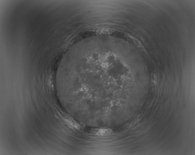 X0000084050663200702232353