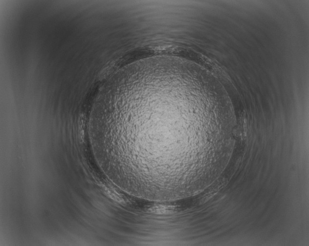 X0000084050664200702232353