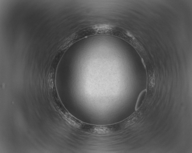 X0000084050666200702232353