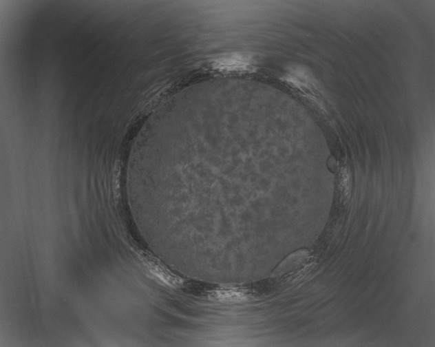 X0000084050668200702232353