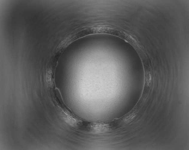 X0000084050670200702232353