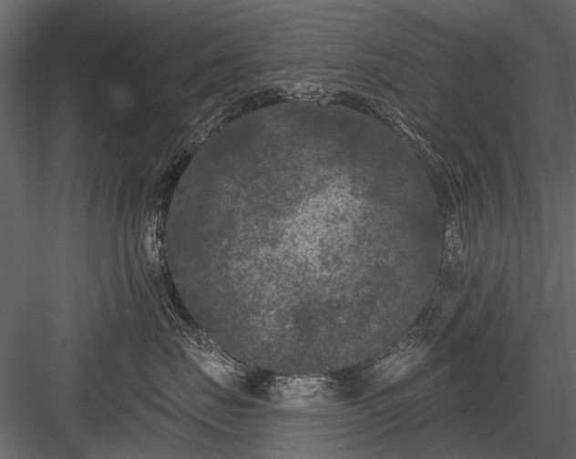 X0000084050671200702232353