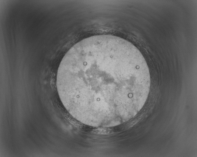 X0000084050672200702232353