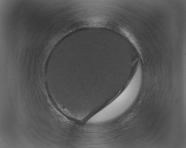 X0000084050673200702232352